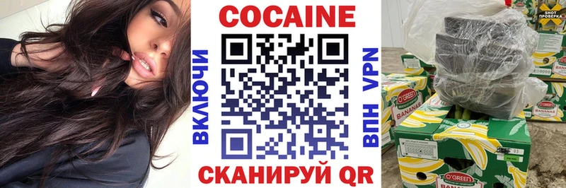 Cocaine Fish Scale  Купить закладки  Валдай 