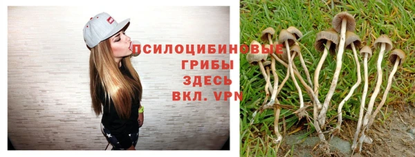 Альфа ПВП Заводоуковск