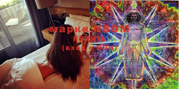 эйфоретик Щигры