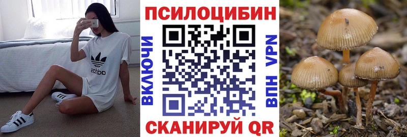 Купить закладки  Валдай  Псилоцибиновые грибы MAGIC MUSHROOMS 
